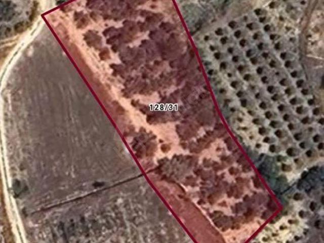 Tarsus, Mersin içerisinde satılık mülk