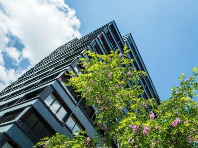 Wohnung mieten in Baden, Aargau