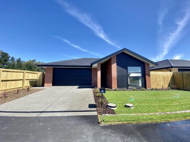 House for rent in Belfast, Christchurch