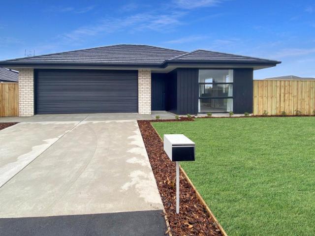 House for rent in Belfast, Canterbury
