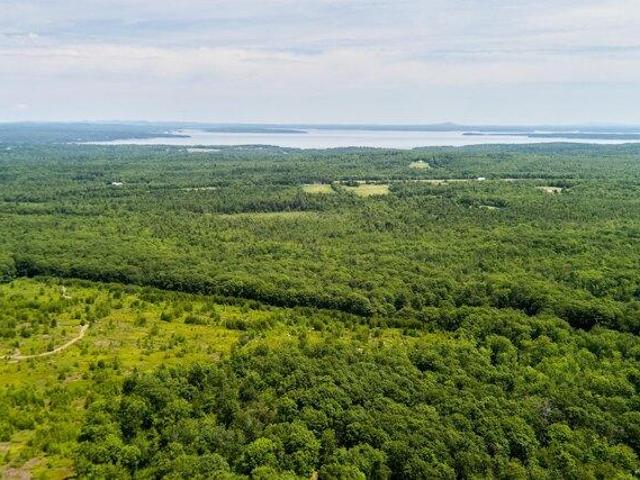 Land for sale in Waldo, Maine