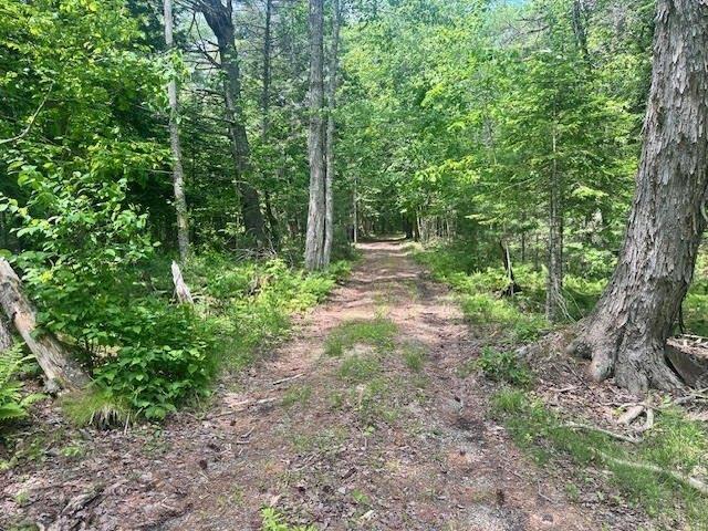 Land for sale in Waldo, Maine