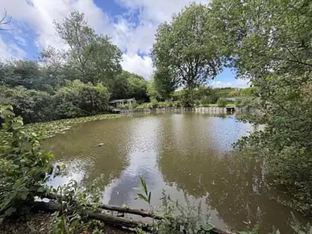 Terrain vente à Le Gué-de-la-Chaîne, Belforêt-en-Perche