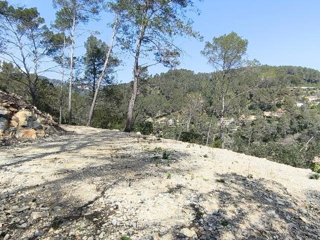 Terrain vente à Arrondissement de Toulon, Belgentier