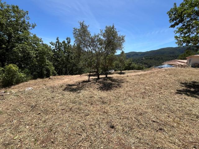 Terrain vente à Arrondissement de Toulon, Belgentier