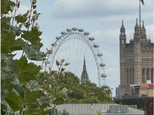 Apartment for rent in Pimlico, Greater London