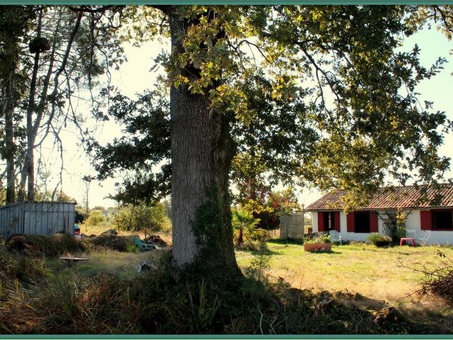 Maison vente à France métropolitaine, Belin-béliet
