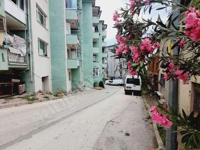 Bilecik Merkez, Bilecik içerisinde satılık mülk