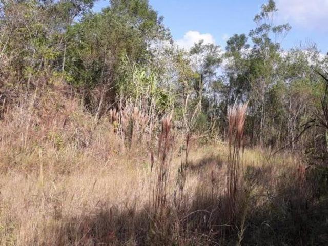 Terreno venda em Linha Nova, Região Geográfica Intermediária de Porto Alegre