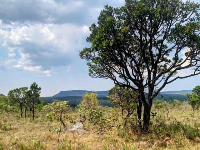 Sítio e chácara venda em Região Geográfica Imediata de Flores de Goiás, Alto Paraíso de Goiás