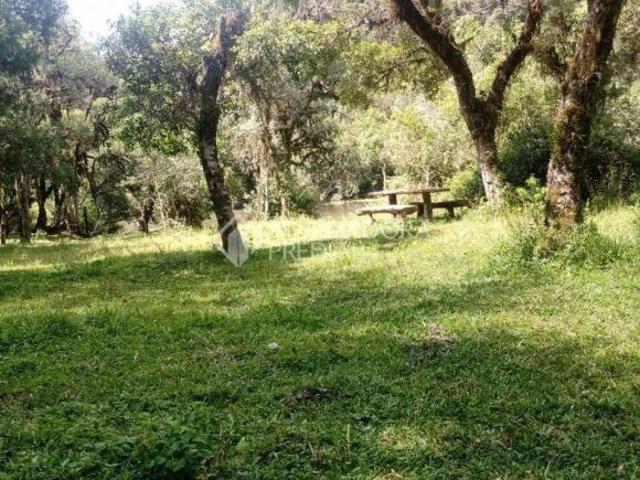 Terreno venda em Região Geográfica Imediata de Caxias do Sul, São Francisco de Paula