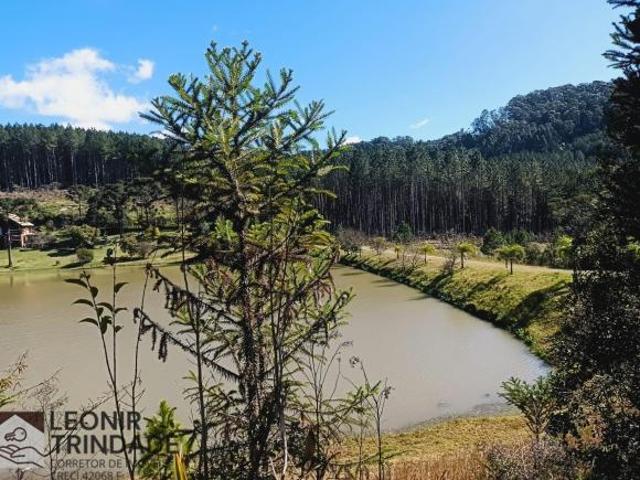 Sítio e chácara venda em Tuiuti