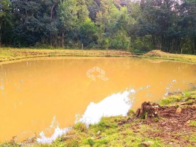 Sítio e chácara venda em Região Geográfica Imediata de Caxias do Sul, Nova Petrópolis