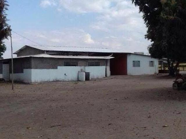 Sítio e chácara venda em Região Geográfica Imediata de Uruaçu - Niquelândia, Niquelândia