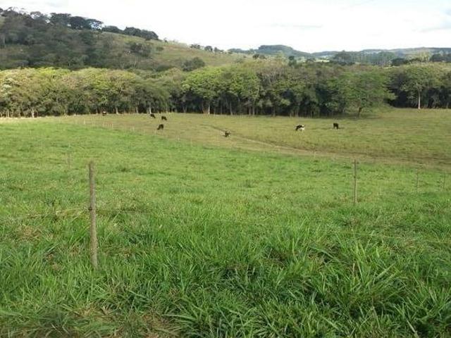 Sítio e chácara venda em Região Geográfica Imediata de Oliveira, Piedade dos Gerais