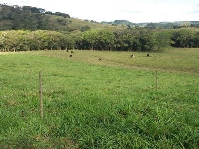 Sítio e chácara venda em Piedade dos Gerais, Região Geográfica Intermediária de Divinópolis