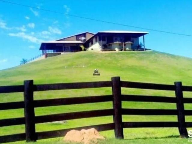 Sítio e chácara venda em Paraíso do Sul