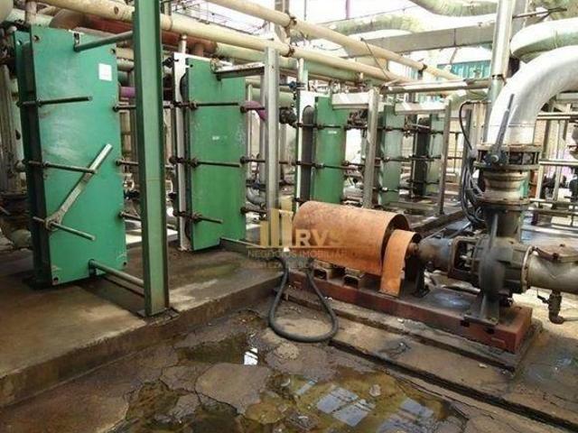 Sítio e chácara venda em Região Imediata de Birigui-Penápolis, Penápolis