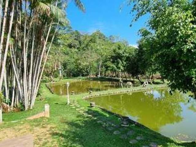 Sítio e chácara venda em Pedro de Toledo, São Paulo