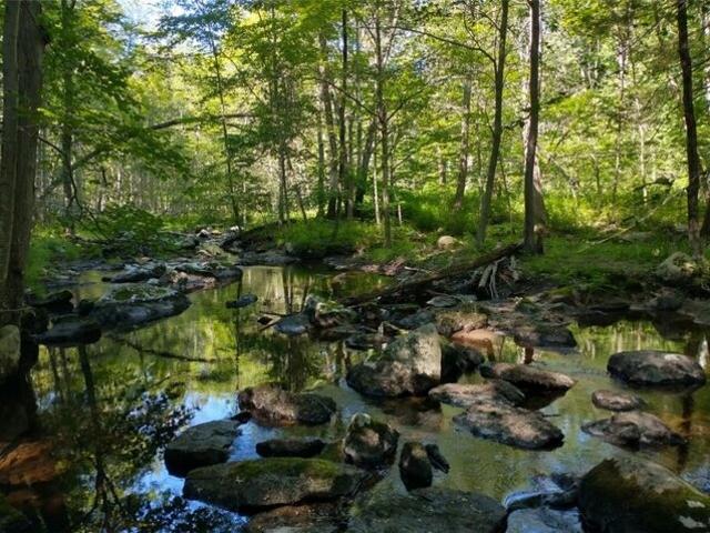 Land for sale in Putnam Valley