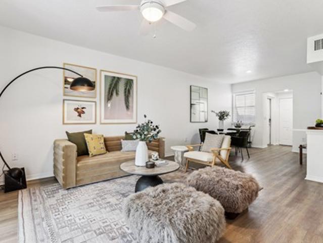 Apartment for rent in Palm Harbor