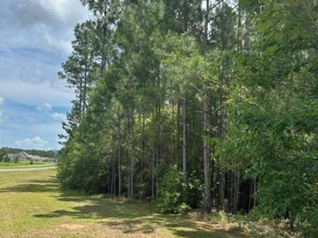 Land for sale in Carriere, Mississippi