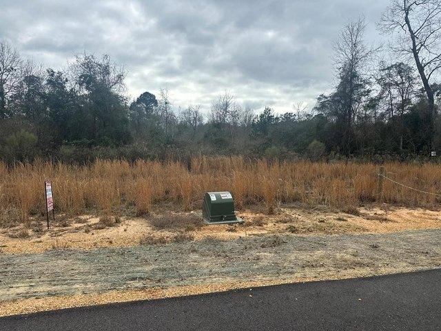 Land for sale in Ellisville, Mississippi