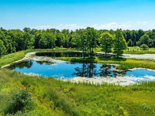 Land for sale in Michigan