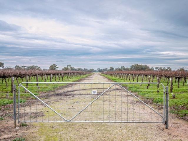 Cottage for sale in Coonawarra, Wattle Range Council