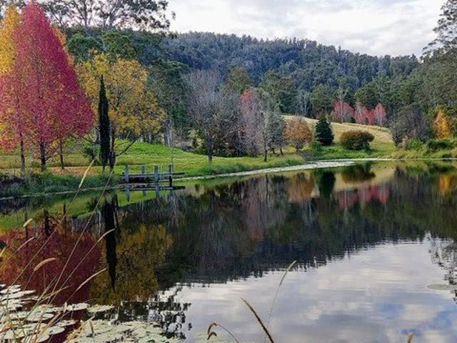 Acreage for sale in Bellangry, New South Wales