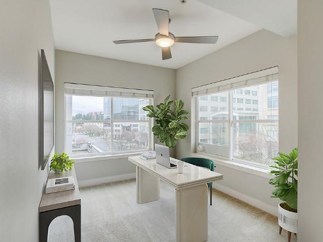 Apartment for rent in Bellevue, Washington