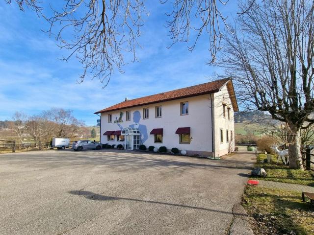 Immobilie kaufen in La Chaux-de-Fonds