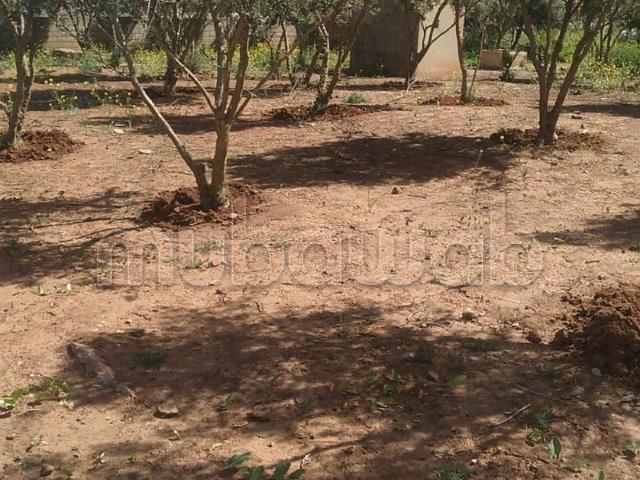 Ferme vente à Slimane, Gharb-Chrarda-Beni Hssen