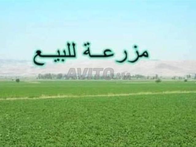 Propriété vente à Slimane, Gharb-Chrarda-Beni Hssen