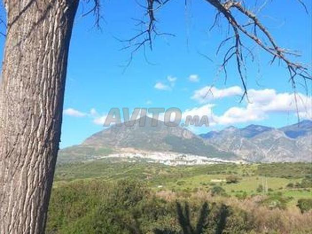 Propriété vente à Chauen, Tanger-Tétouan