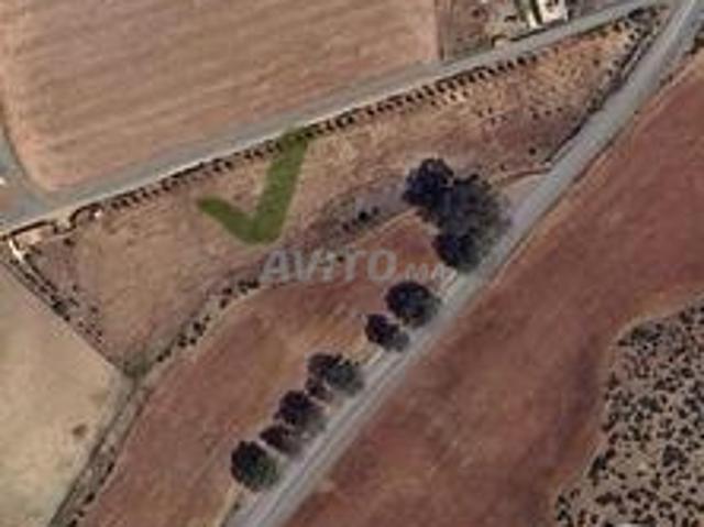 Propriété vente à Tamesna