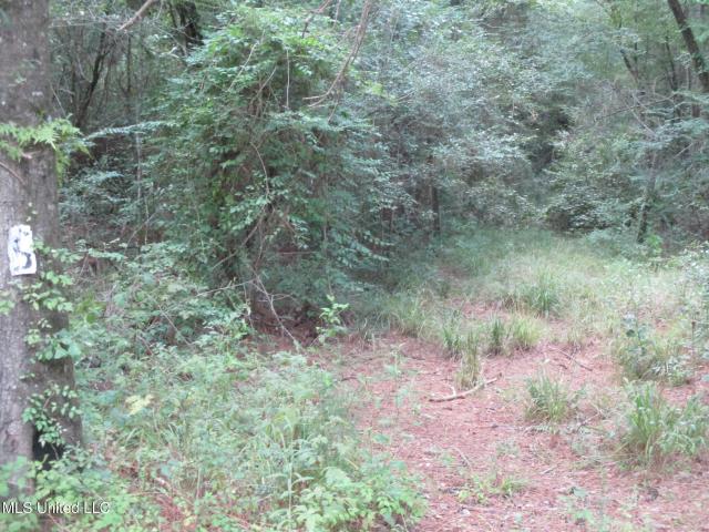 Land for sale in Amite, Louisiana