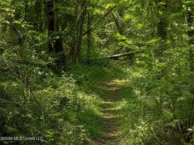 Land for sale in Amite, Louisiana