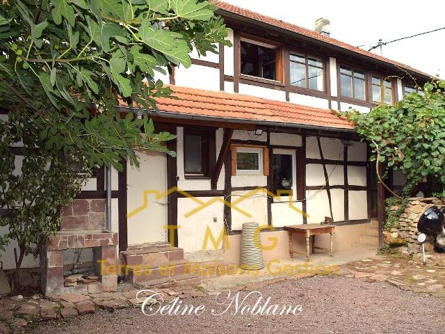 Maison vente à Niederrœdern, Collectivité européenne d'Alsace
