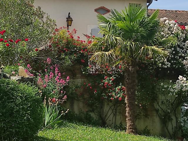 Villa vente à Montauban, Molières