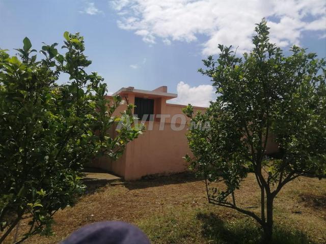 Propriété vente à Sidi Allal El Bahraoui