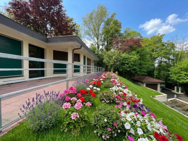 Appartement vente à Thonon-les-Bains, Chens-sur-léman