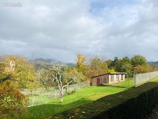 Maison vente à Sélestat-Erstein, Dieffenbach-au-val