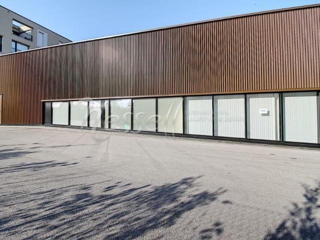 Immobilie mieten in Satigny