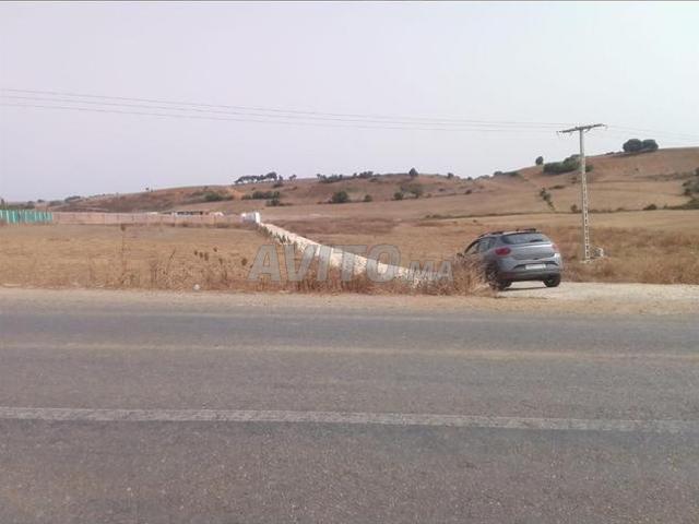 Propriété vente à Assilah, Tanger-Tétouan
