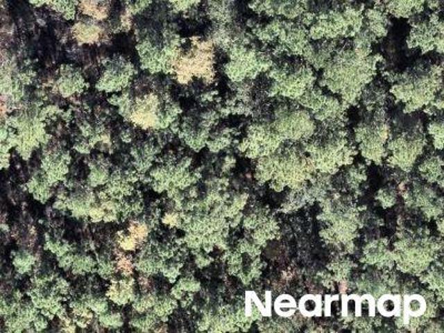 Land for sale in Palm Coast, Florida