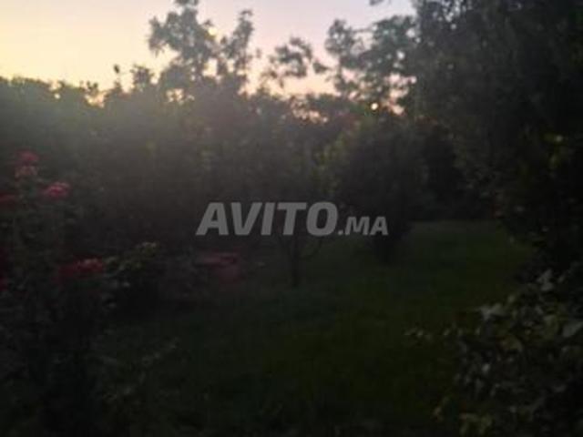 Propriété vente à Khouribga