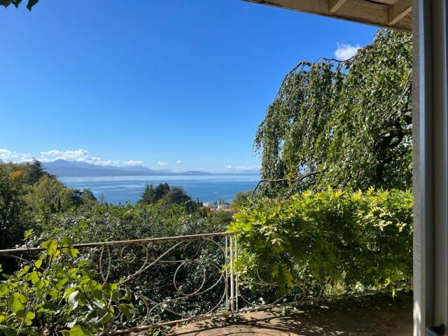 Einfamilienhaus kaufen in Paudex, Waadt