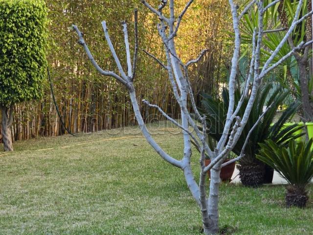 Villa location à Bouskoura, Grand Casablanca