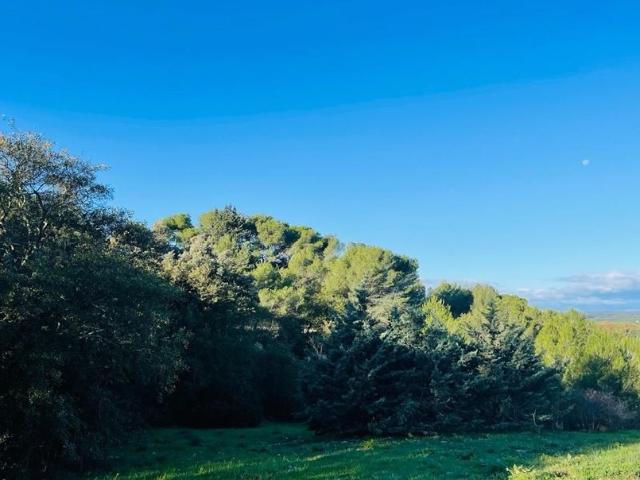 Terrain vente à Montpellier, Castelnau-le-lez
